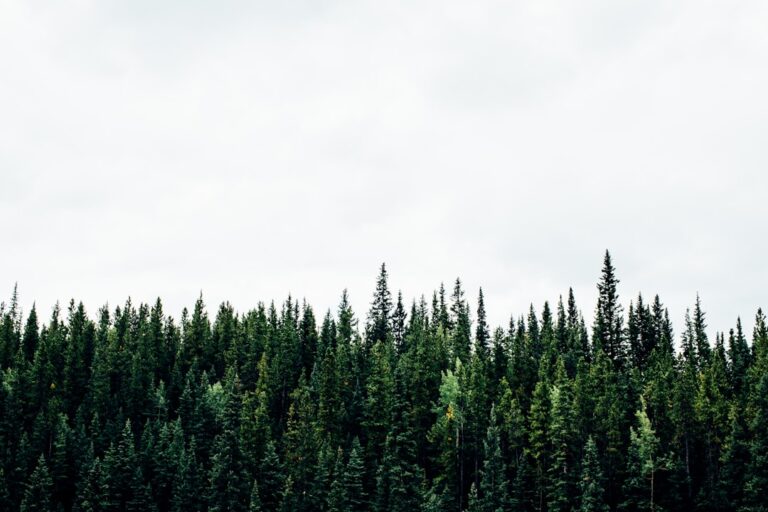 Inspiration pur: beeindruckende bilder aus Kanada entdecken