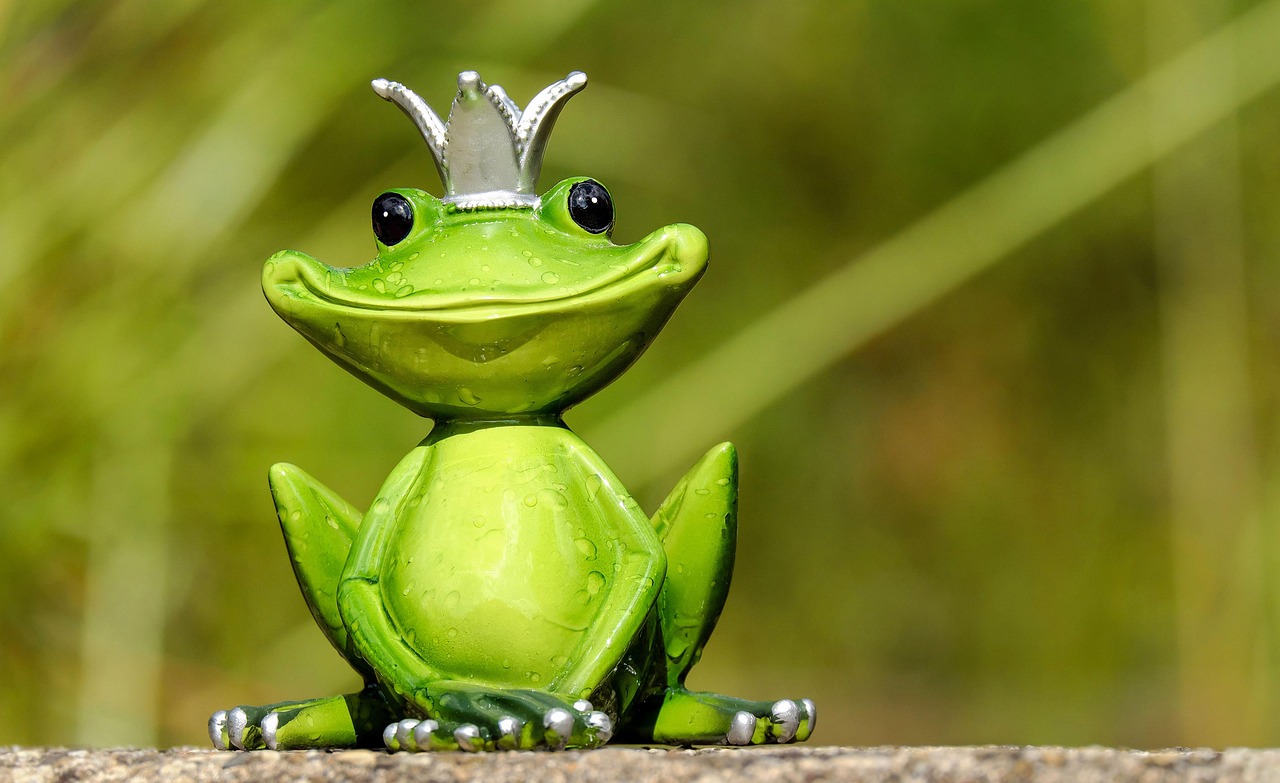 Lebendiger Frosch springt über moosigen Waldweg.